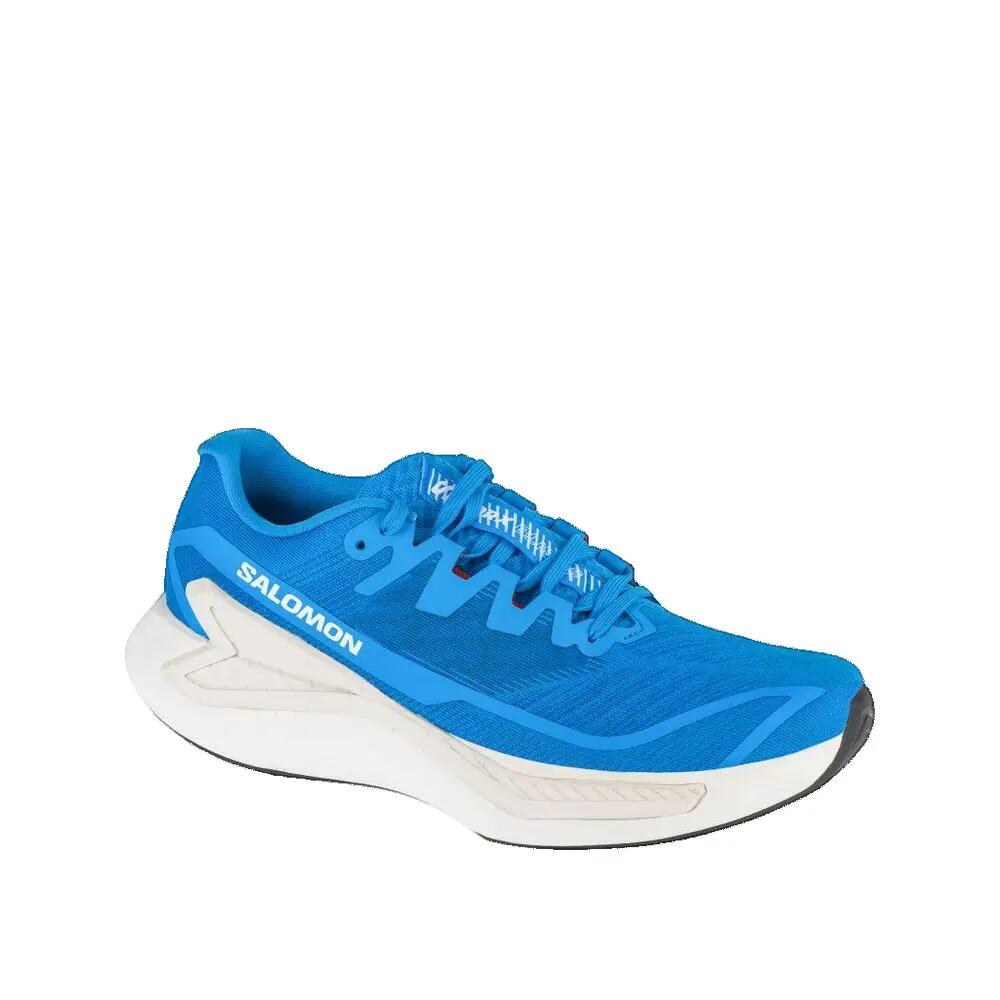 SALOMON picture