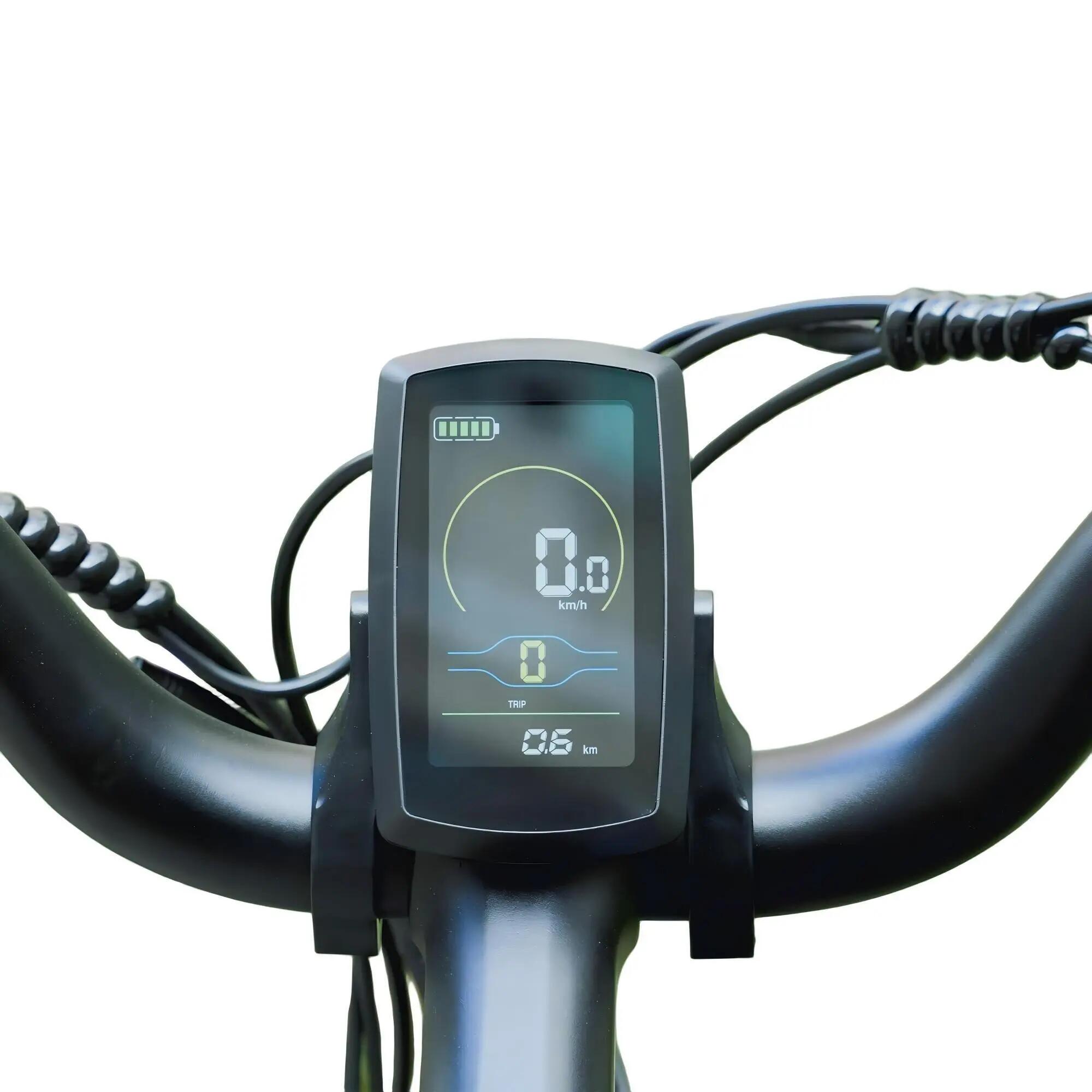 Bicicletta elettrica fuoristrada Rover biammortizzata batteria 52V 15.6Ah 95Nm 8/9