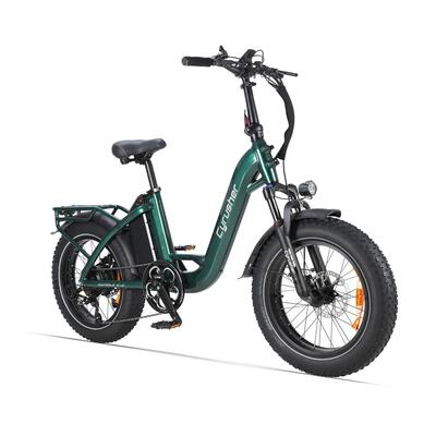 Elektrische fiets rumble 2.0 lage instap brede banden accu 48v 18ah 65nm 100km