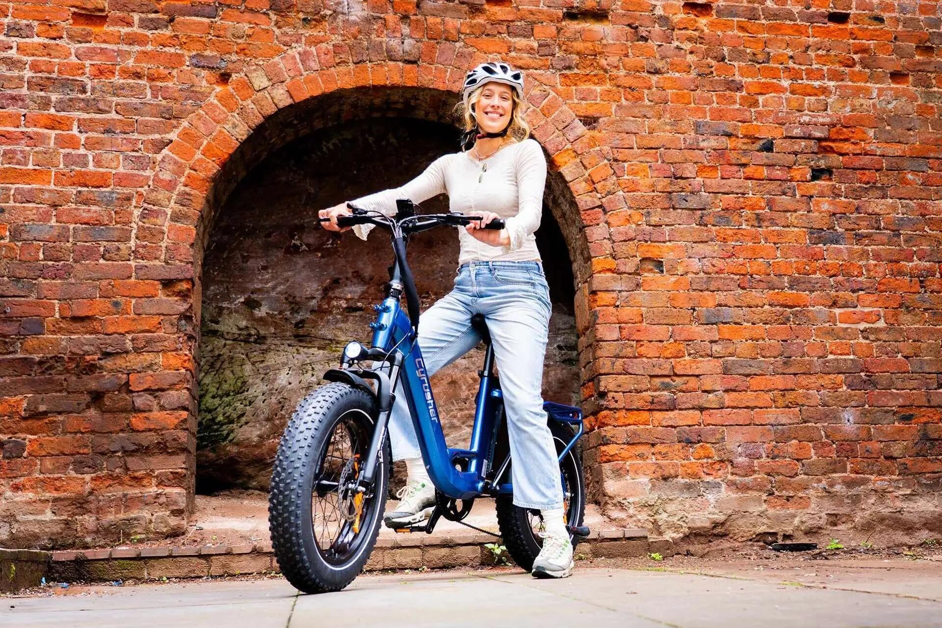 Bicicletta elettrica Rumble 2.0 telaio basso pneumatici larghi 48V 18Ah 65Nm 6/6