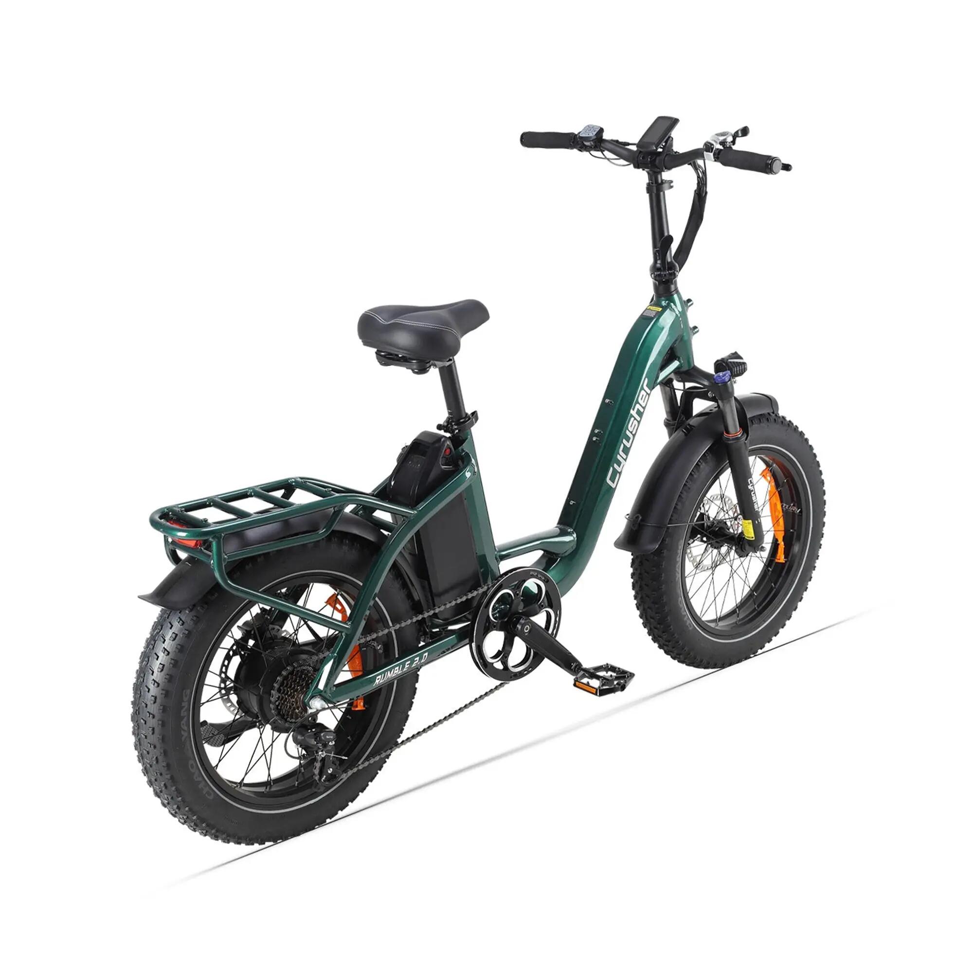 Bicicletta elettrica Rumble 2.0 telaio basso pneumatici larghi 48V 18Ah 65Nm 2/6