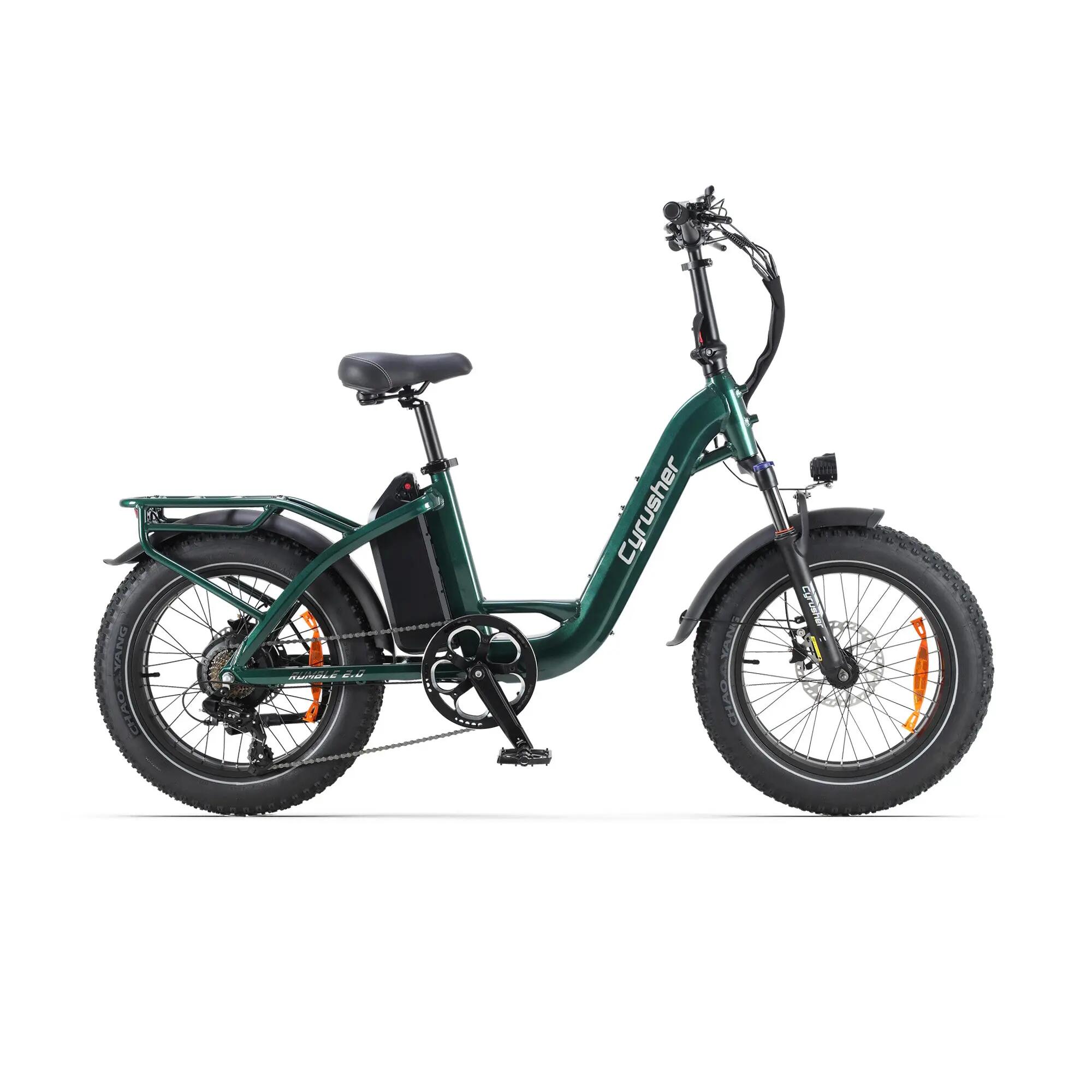Bicicletta elettrica Rumble 2.0 telaio basso pneumatici larghi 48V 18Ah 65Nm 3/6