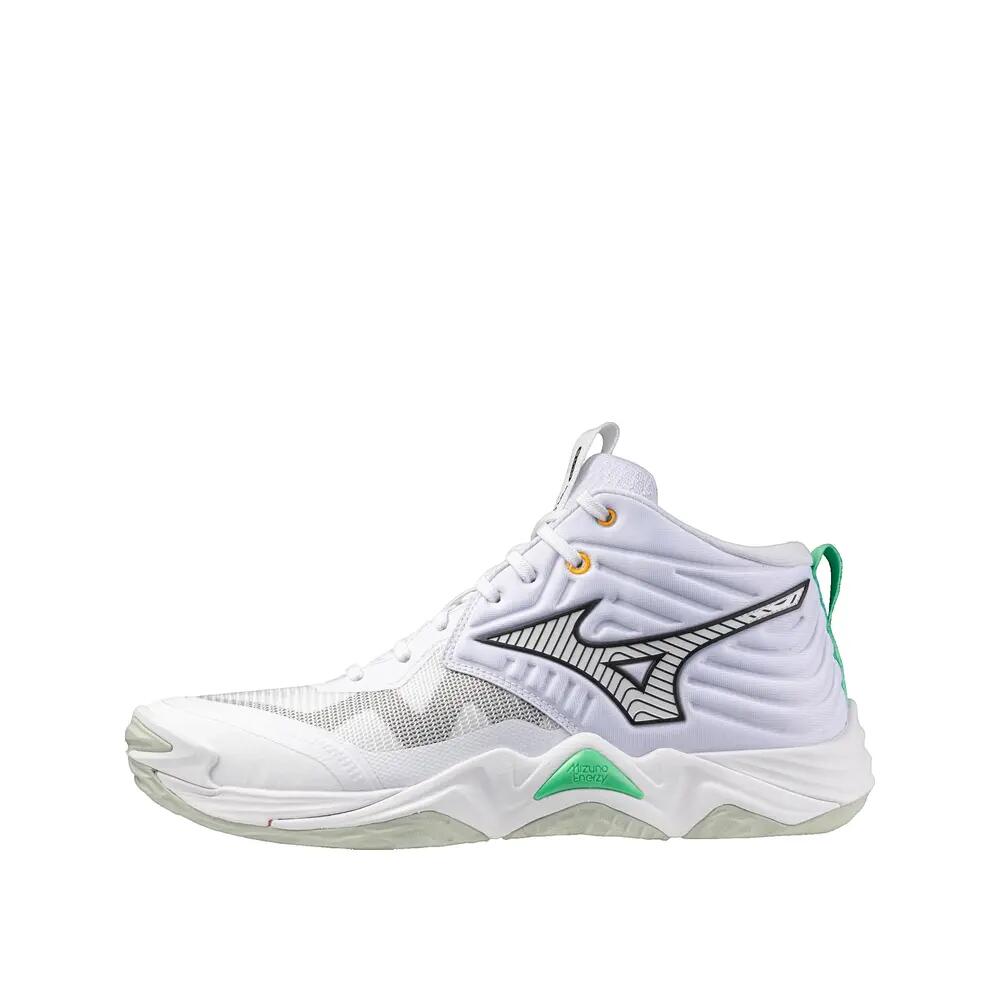 MIZUNO picture