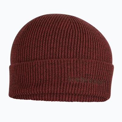 Icebreaker merino all day toque wintermuts