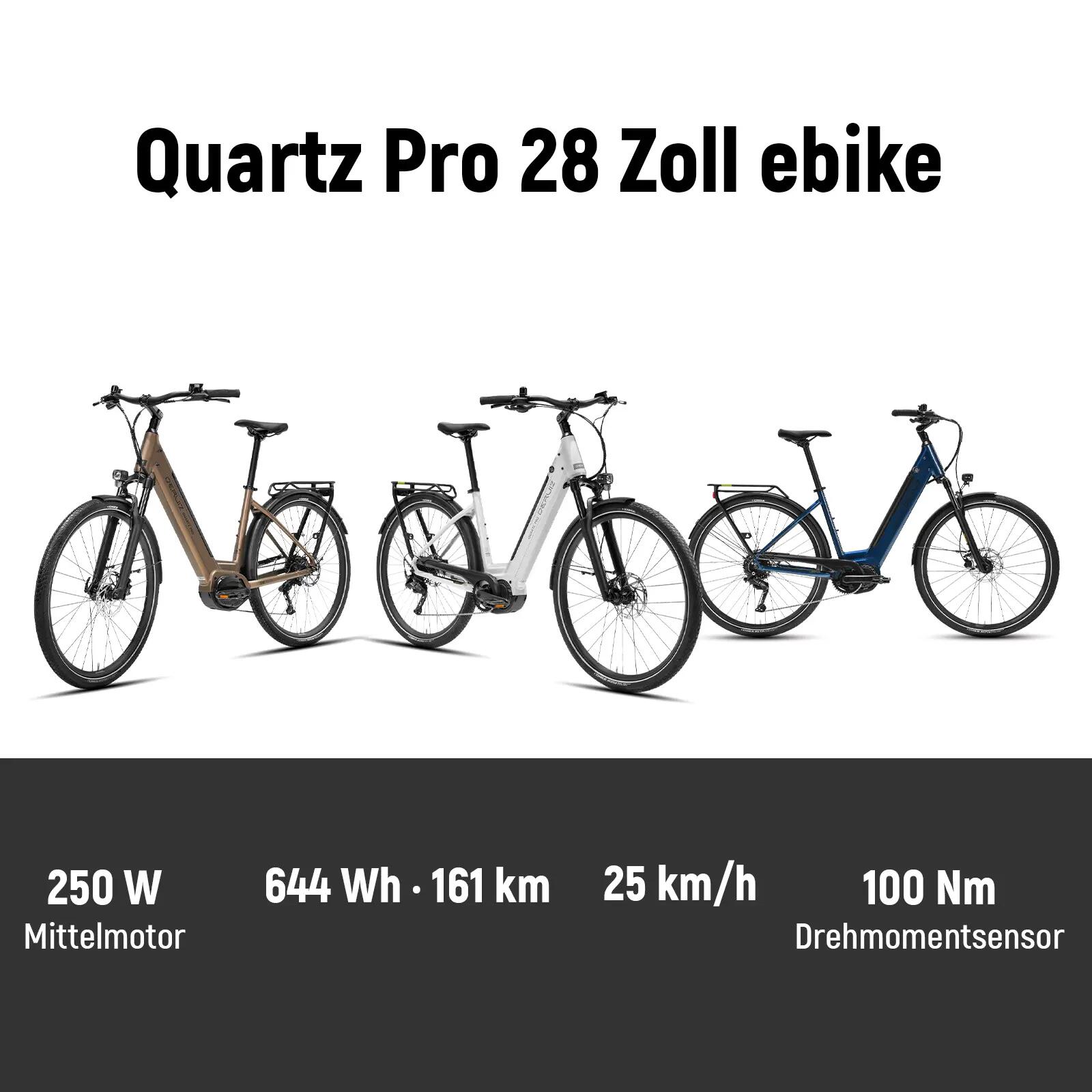 Quartz Pro E-Bike 28” Motore Centrale 48V 100 Nm, 161 km – Shimano 9 Velocità 5/11