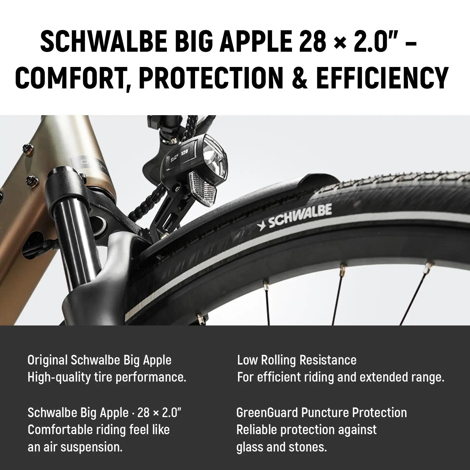 Quartz Pro E-Bike 28” Motore Centrale 48V 100 Nm, 161 km – Shimano 9 Velocità 11/11