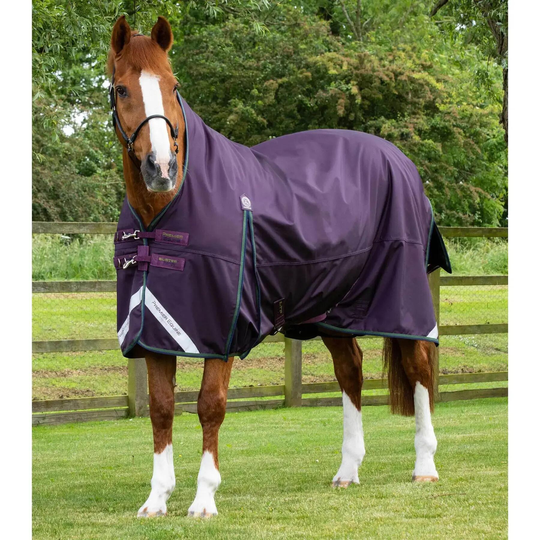 PREMIER EQUINE picture