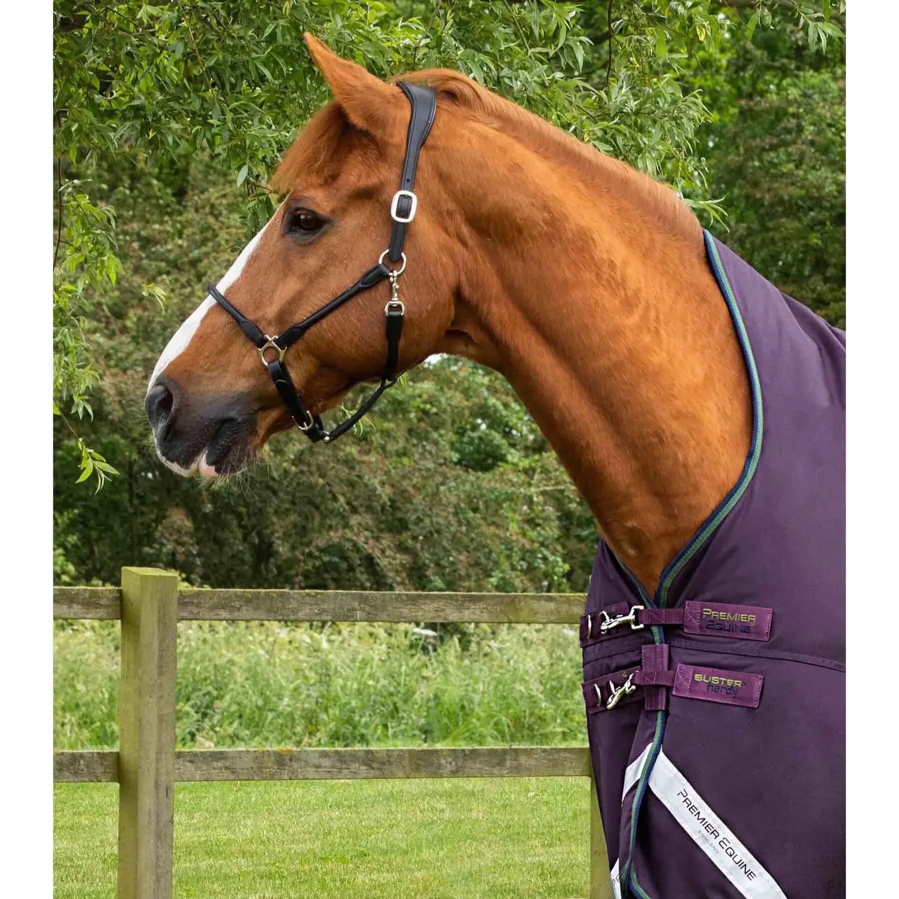 Outdoor-Decke für Pferde halber Hals Premier Equine Buster Hardy 100 g 2/5