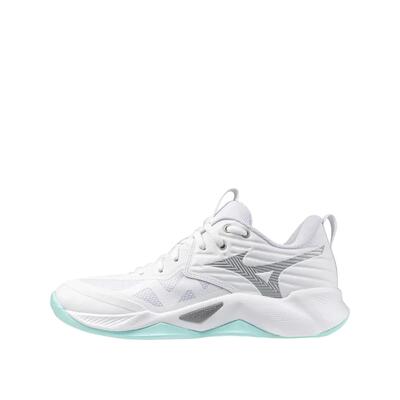 Volleybalschoenen mizuno wave momentum pro dames