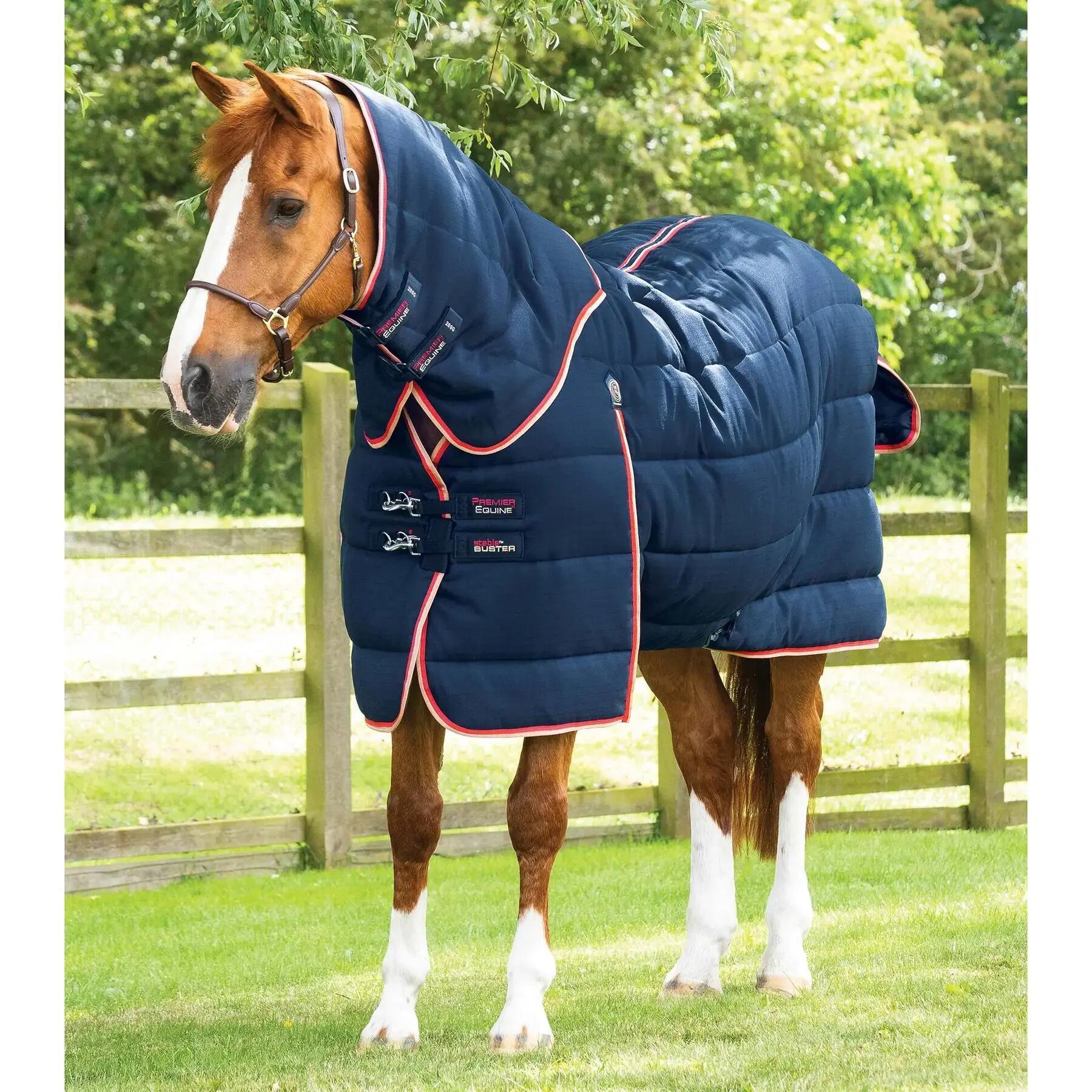 PREMIER EQUINE picture