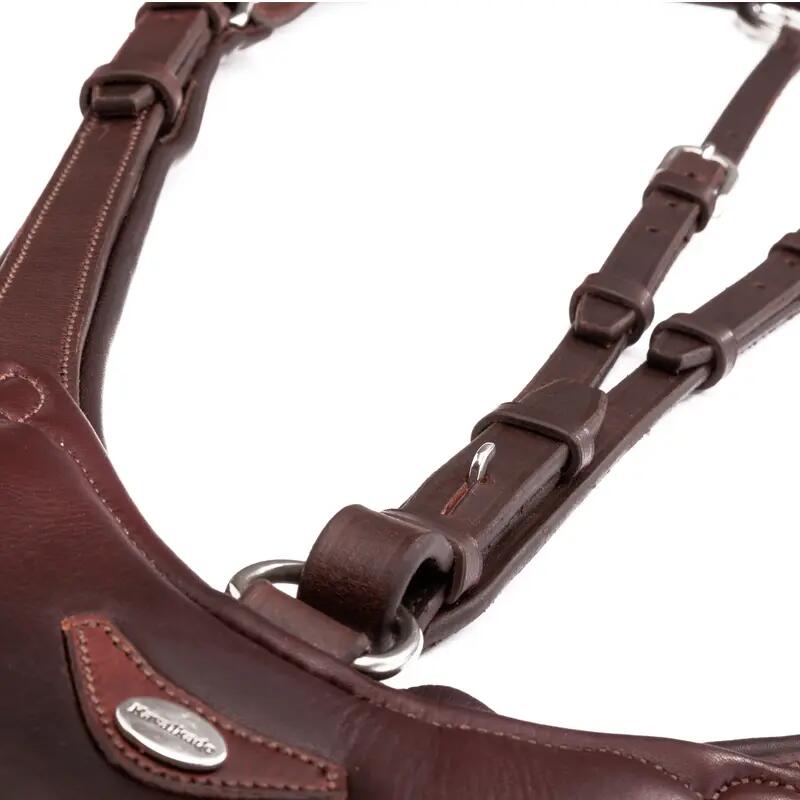 Enrênement en cuir pour cheval Kavalkade Azriel 3/3