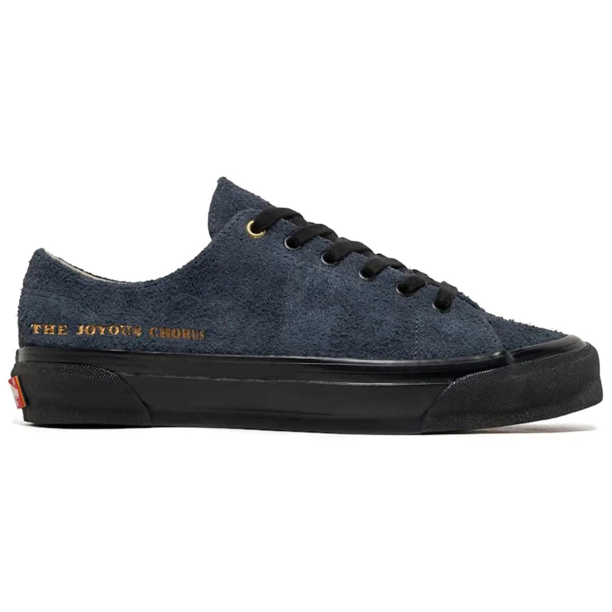VANS picture