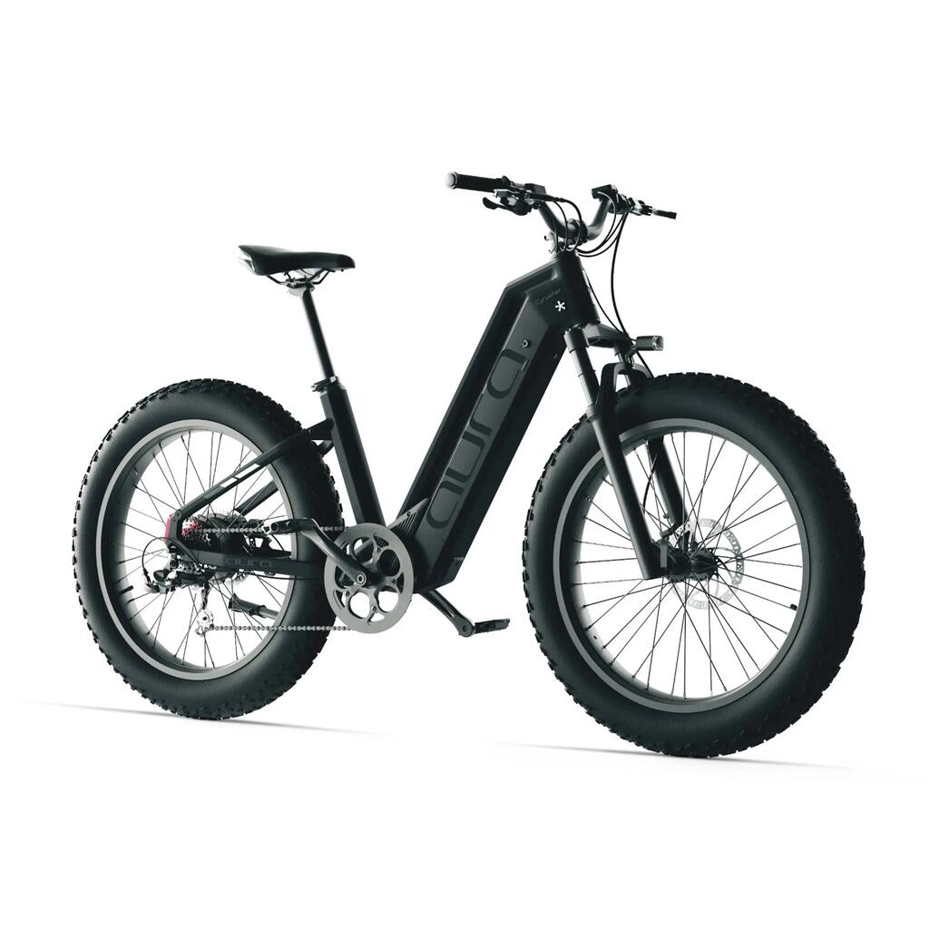 Bicicletta elettrica Aura telaio basso pneumatici larghi 52V 15Ah 95Nm 96km