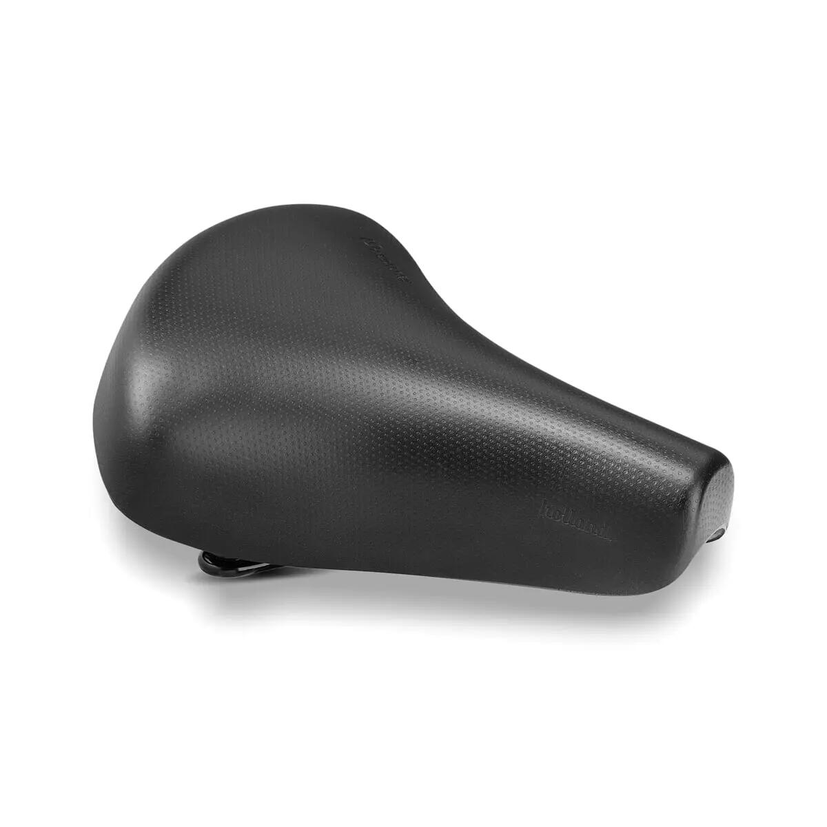 SELLE ROYAL picture