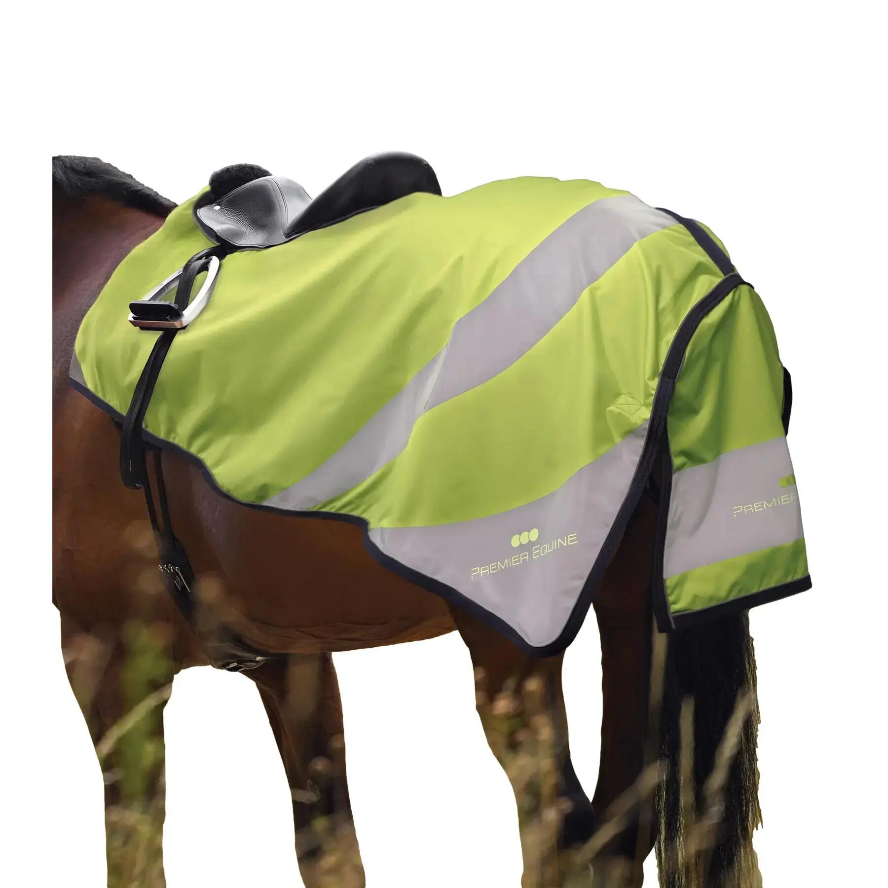PREMIER EQUINE picture