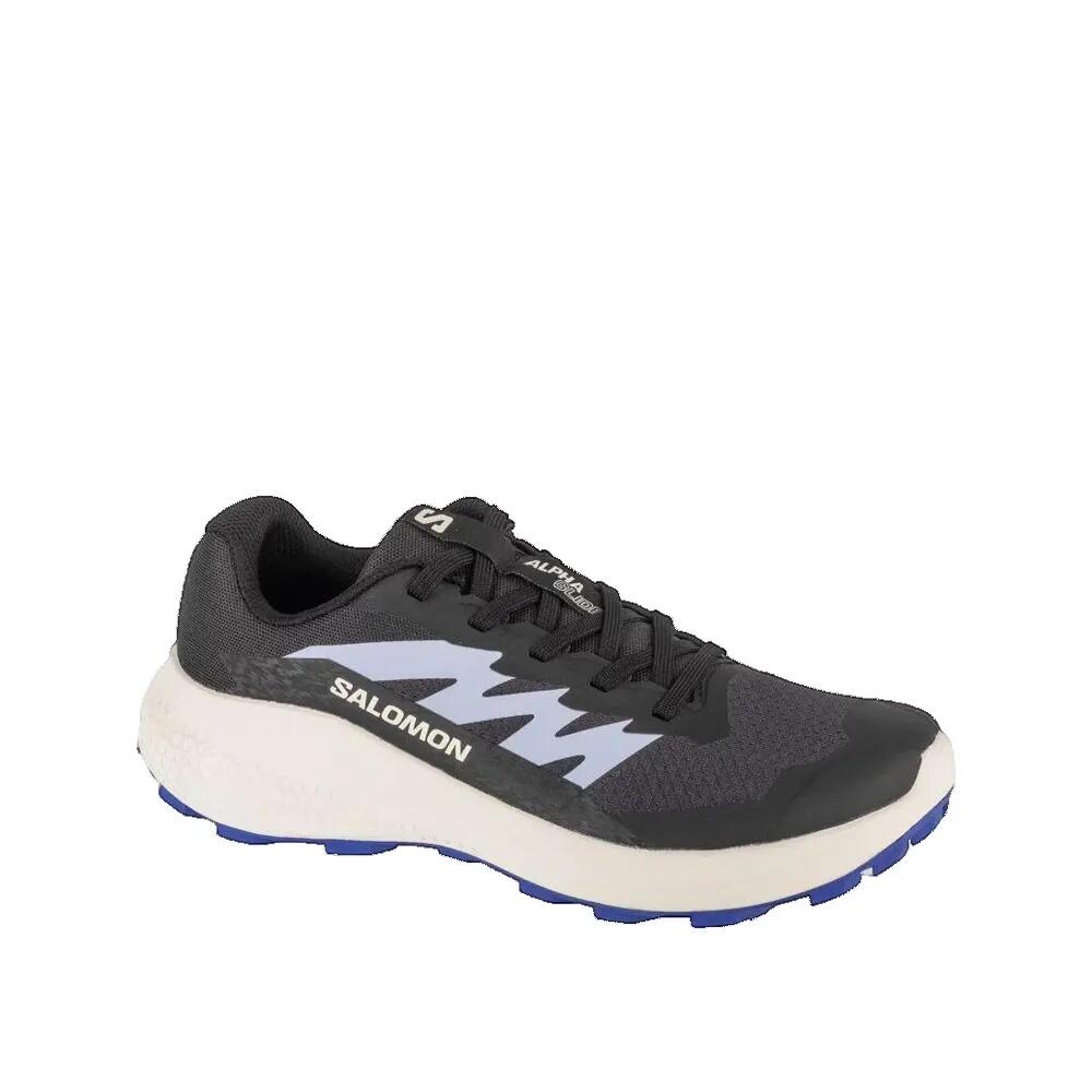 SALOMON picture