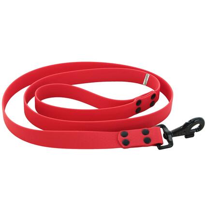 LAISSE CHIEN CANIHUNT MADE IN FRANCE HEXA 150CM largeur 25mm ORANGE