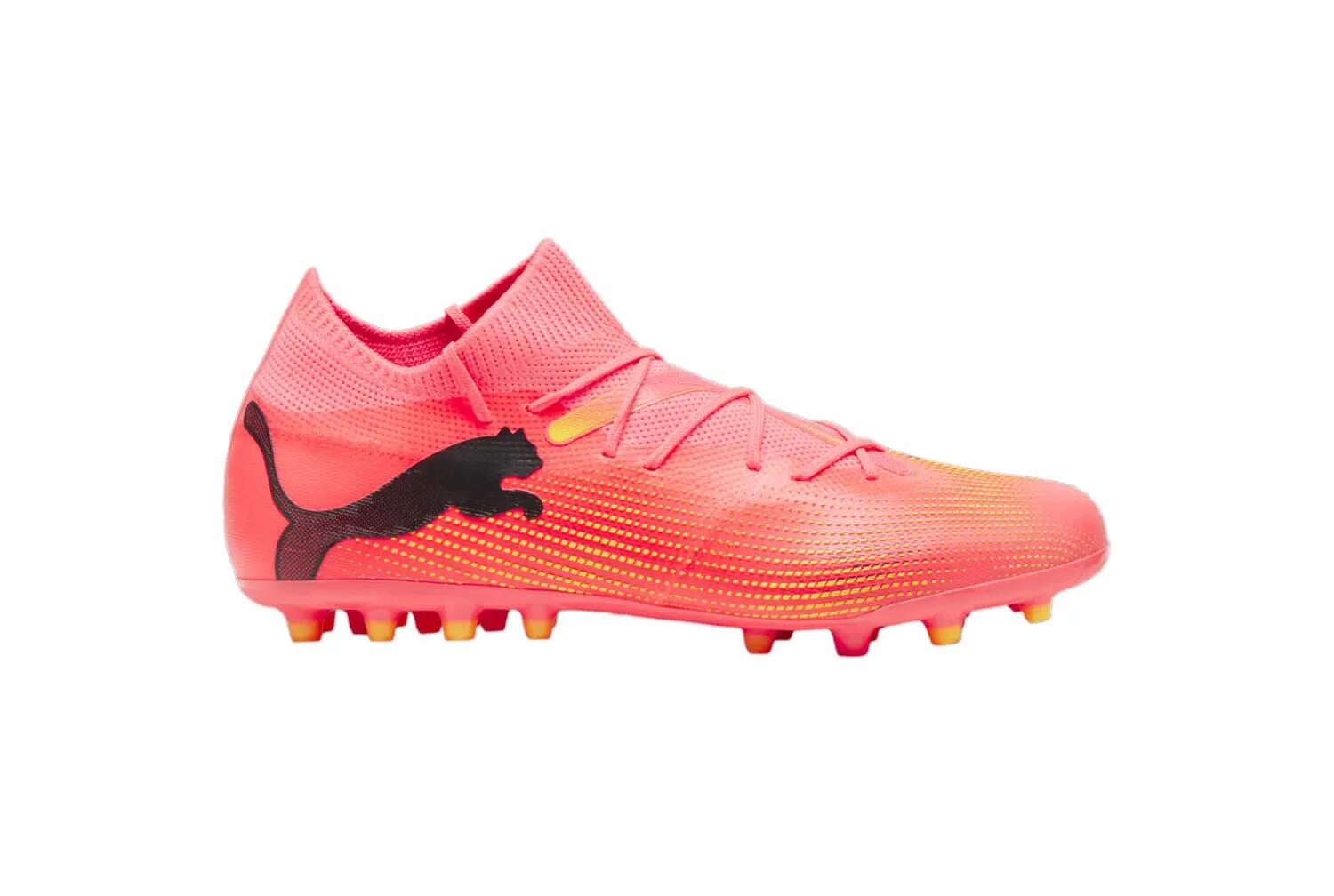 PUMA picture