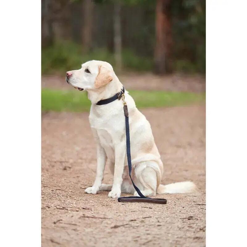 Collier pour chien en cuir tressé Weatherbeeta 2/2