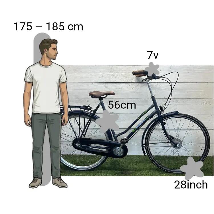 Gebraucht Gazelle Trendy 2/4