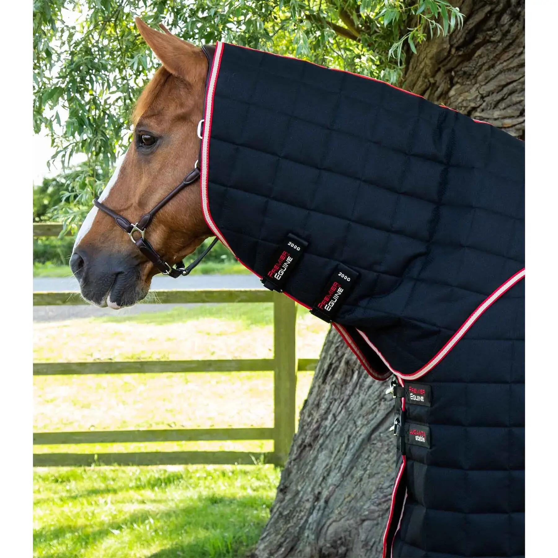 Paardenstaldeken met halsbedekking Premier Equine 450 g 2/5