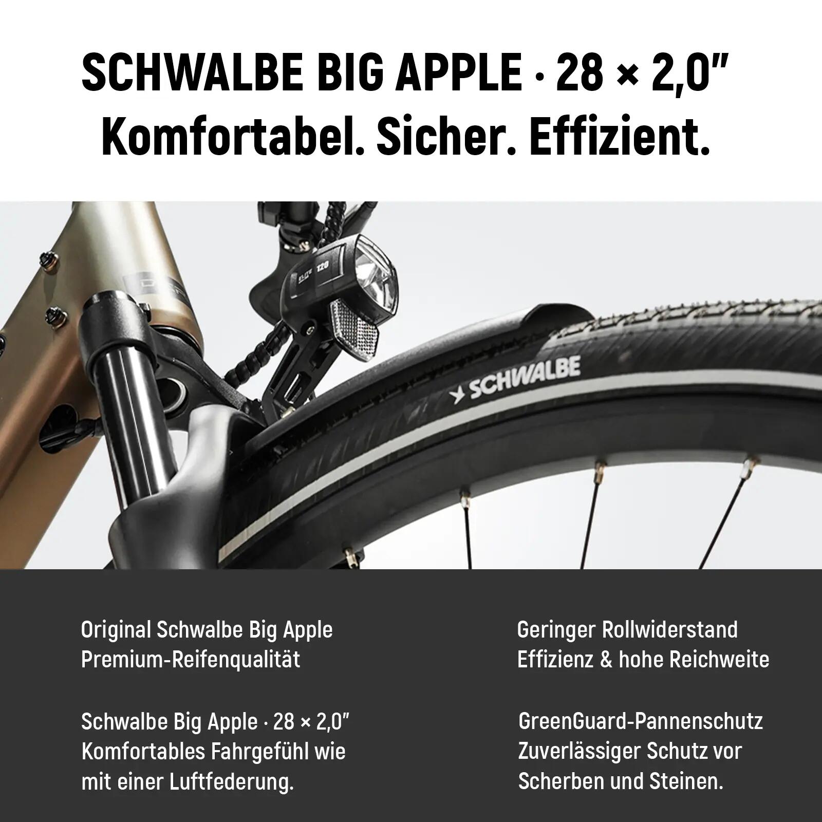 Quartz Pro E-Bike 28” Middenmotor 48V 100 Nm, 161 km – Shimano 9 Versnellingen 11/11