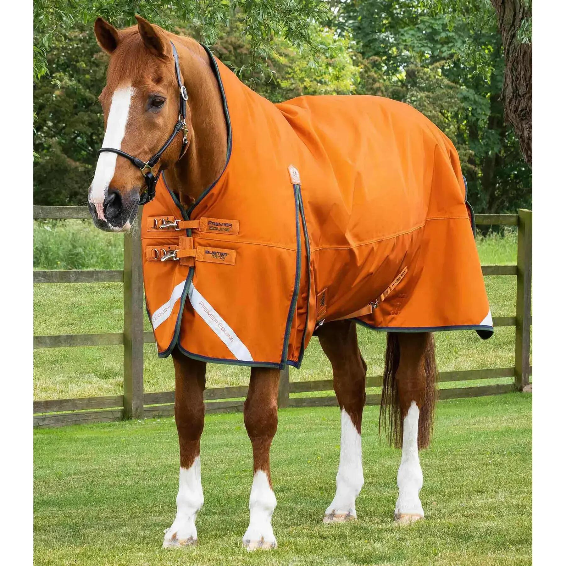PREMIER EQUINE picture