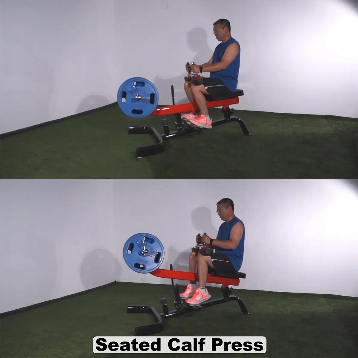 Steelflex Plate Load zittende kuit PLSC-BR voor fitness en bodybuilding 4/6