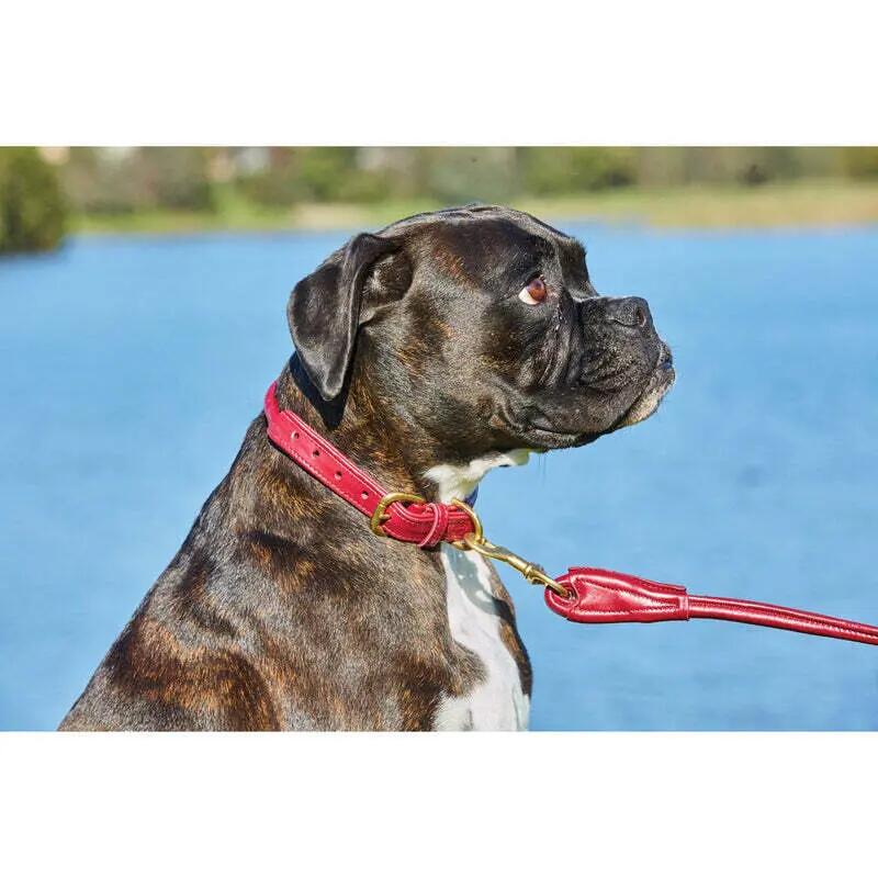 Collier pour chien en cuir roulé Weatherbeeta 3/3