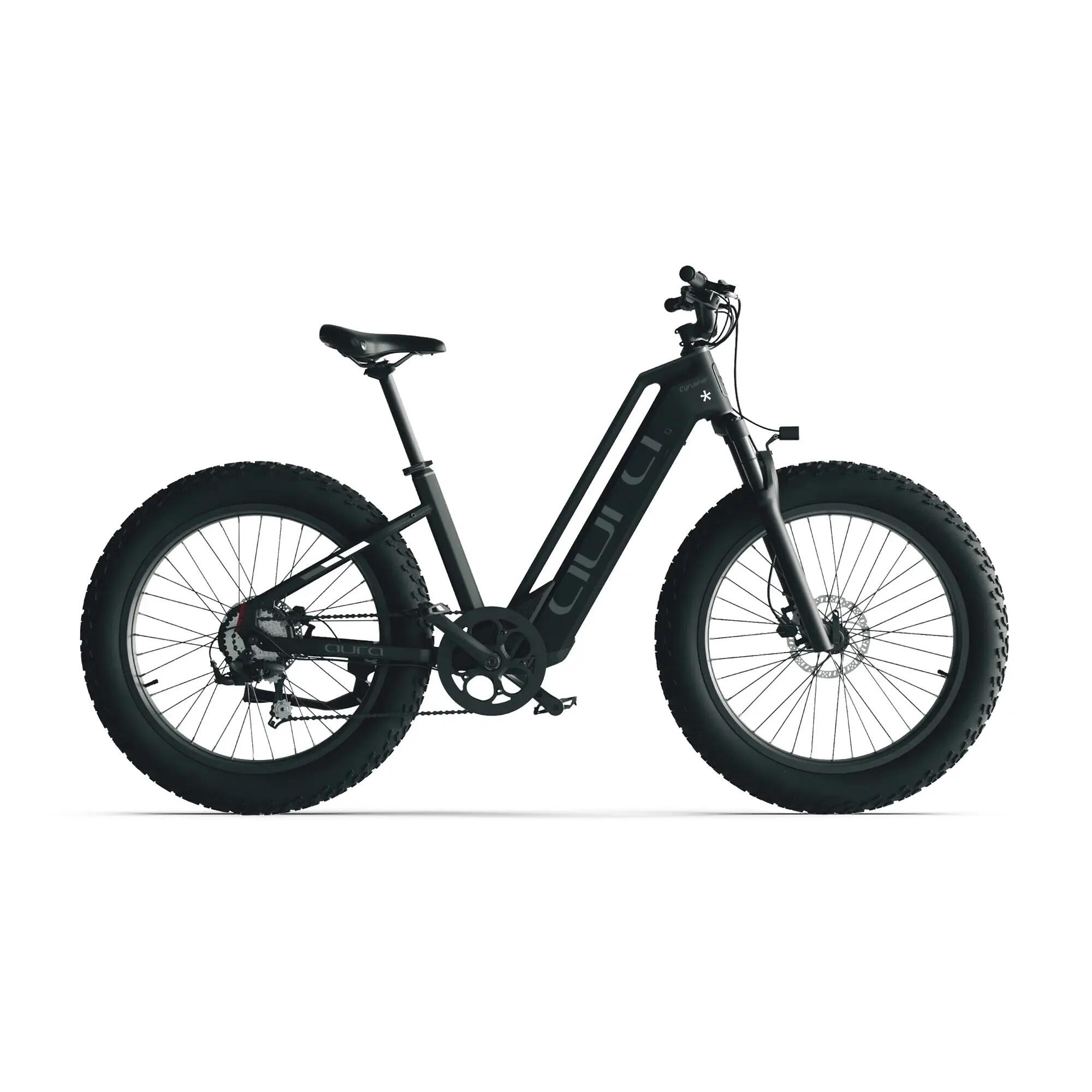 Aura Elektrofahrrad mit Tiefeinstieg Breitreifen 52V 15Ah Akku 95Nm 96km 3/7