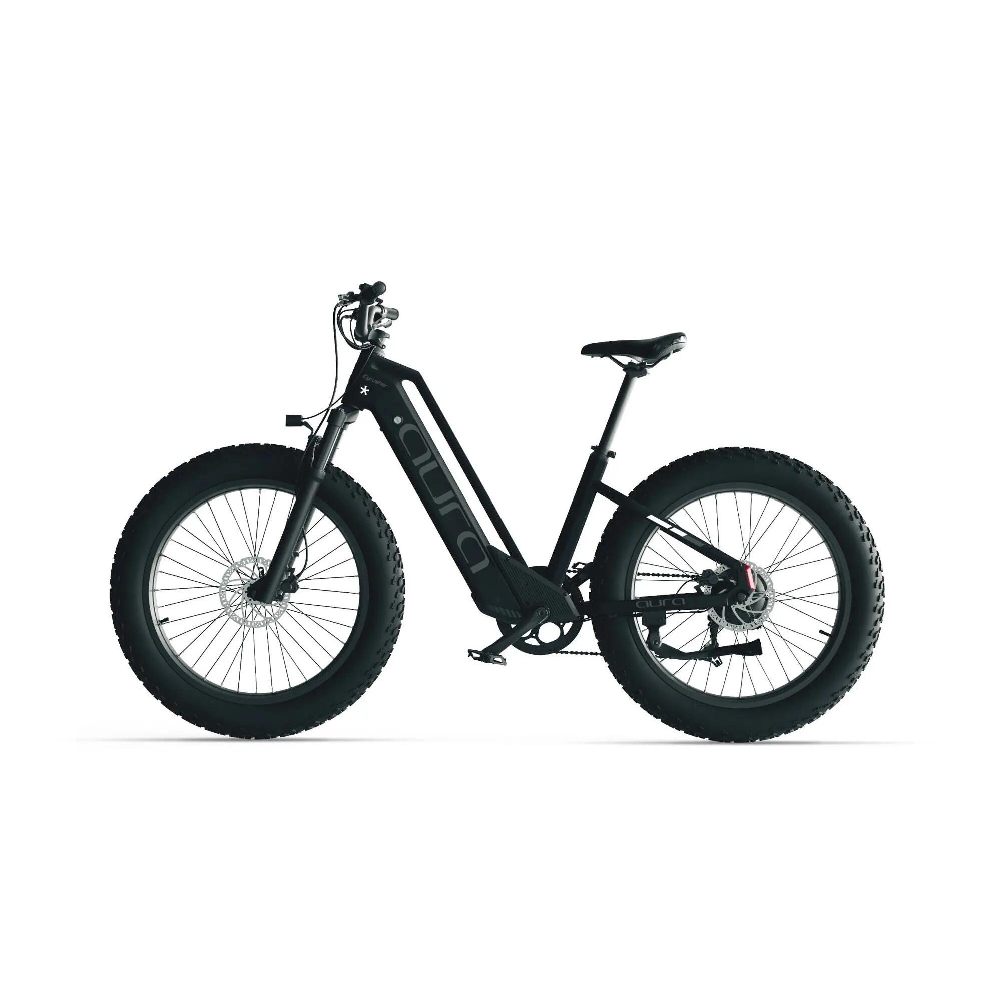 Aura Elektrofahrrad mit Tiefeinstieg Breitreifen 52V 15Ah Akku 95Nm 96km 2/7