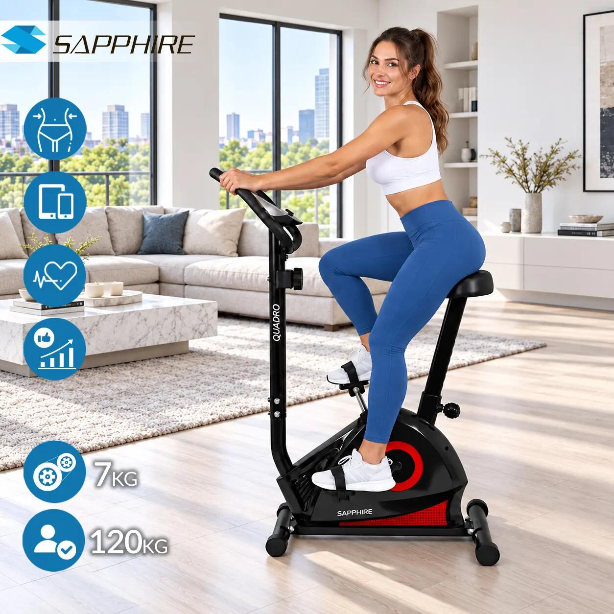 Rower stacjonarny magnetyczny Sapphire SG-450B Quadro koło 7kg trening cardio 3/14