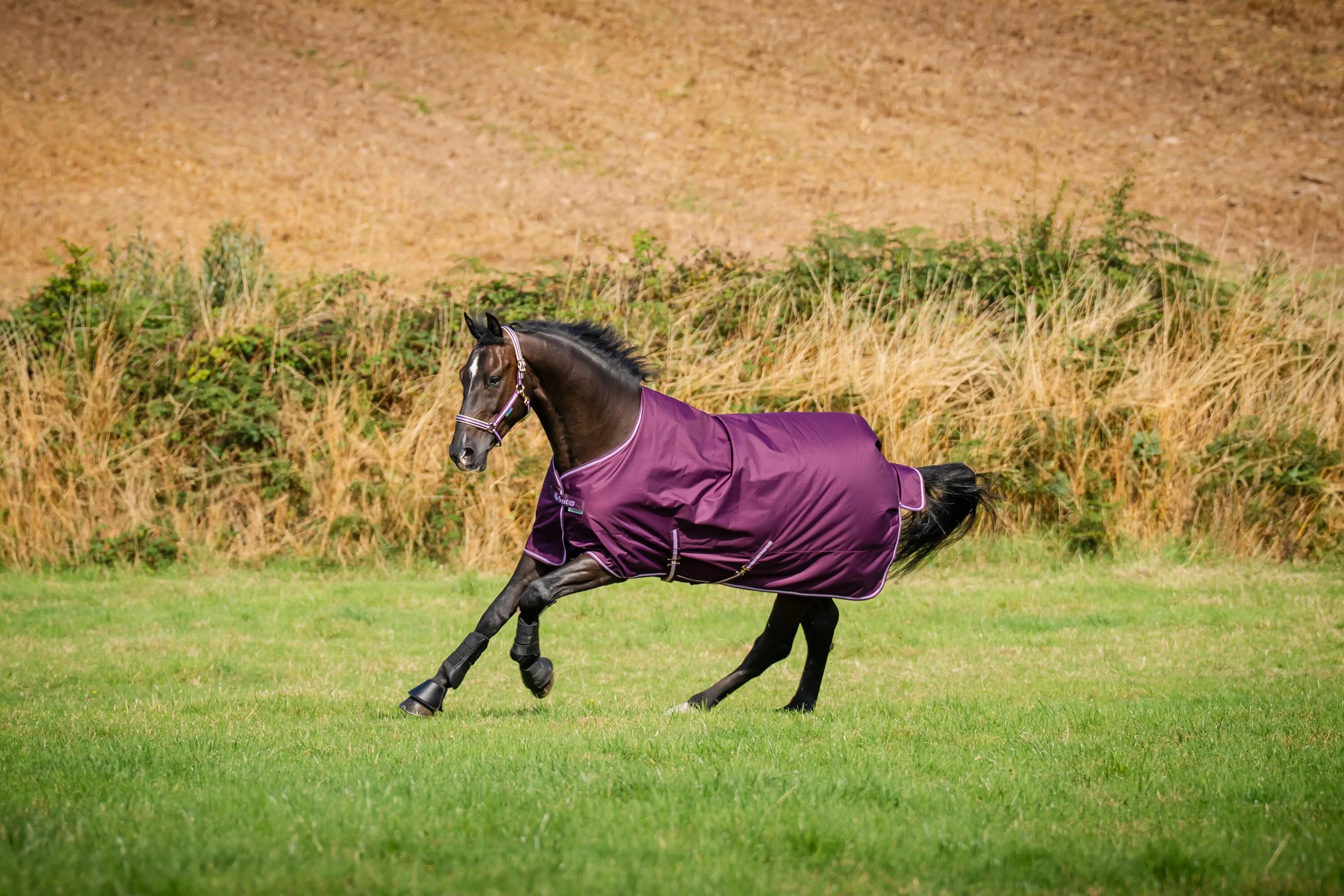 Bucas Freedom Turnout Light Roze - 6/7