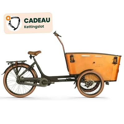 Elektrische bakfiets vogue carry 3 - driewieler, 80 nm, tot 80 km - bruin