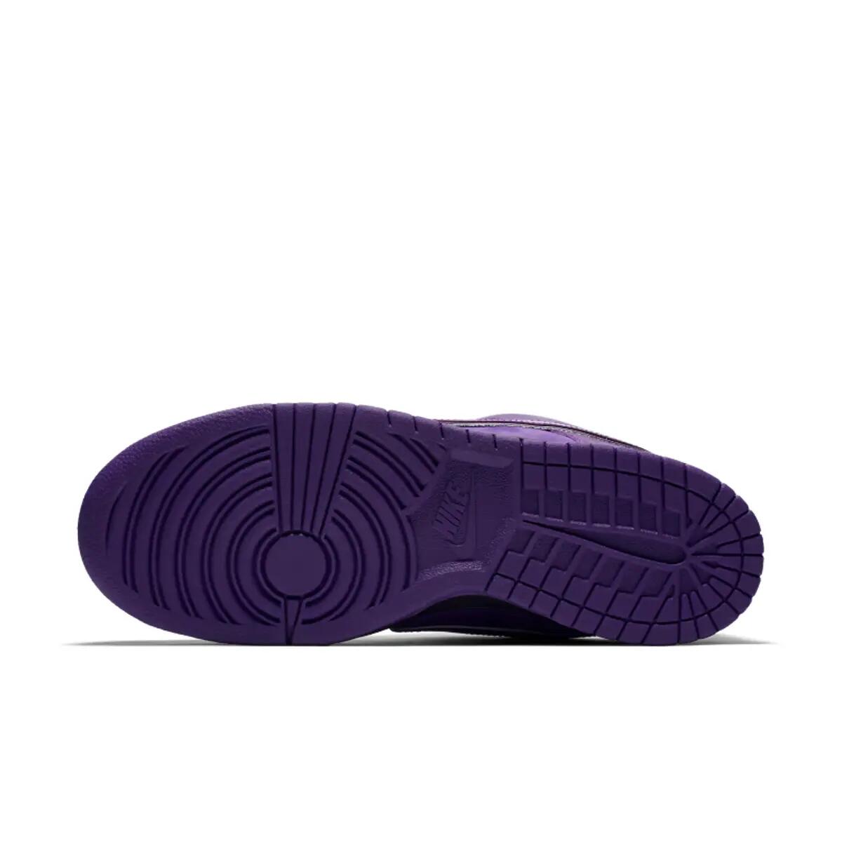 Nike SB Dunk Low Concepts Purple Lobster 2/6