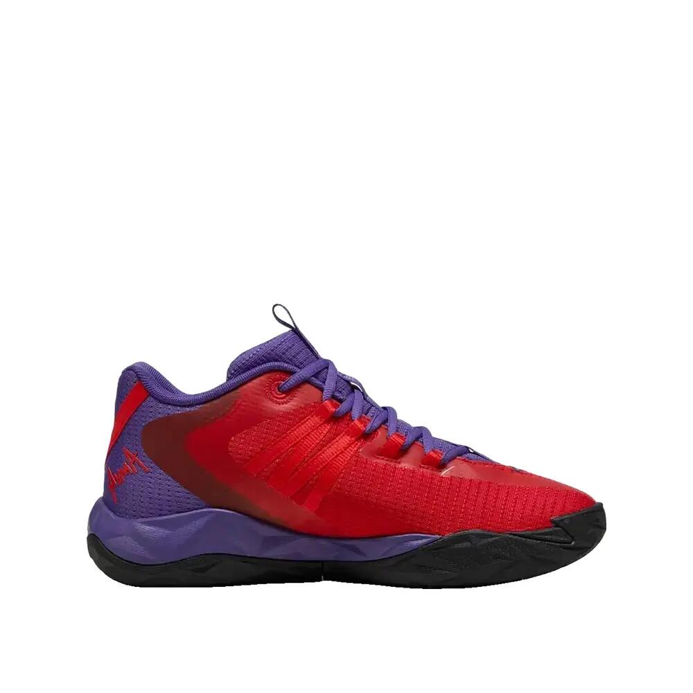 PUMA picture