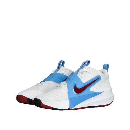 Zapatillas de baloncesto Nike Team Hustle D Multicolore