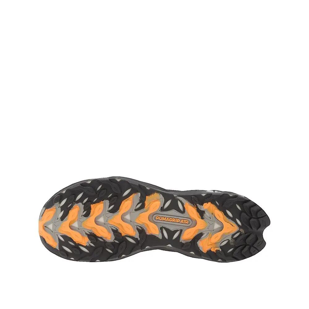PUMA picture