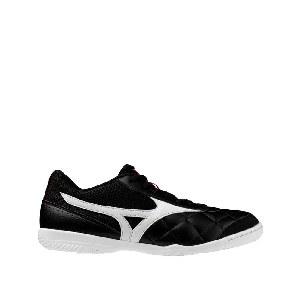 MIZUNO picture