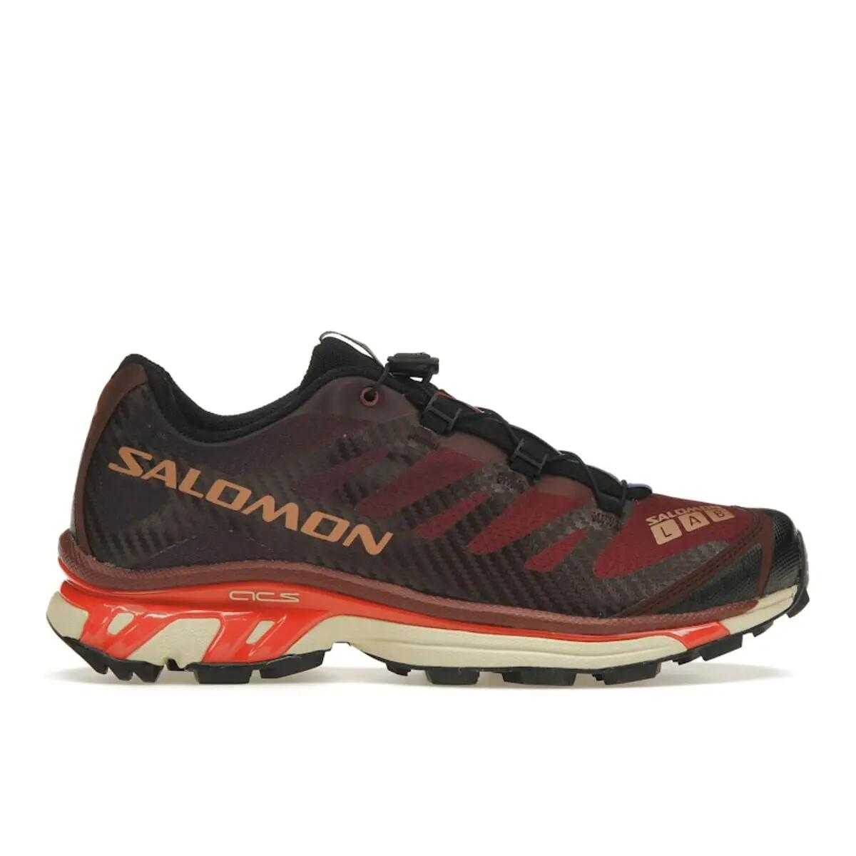 SALOMON picture