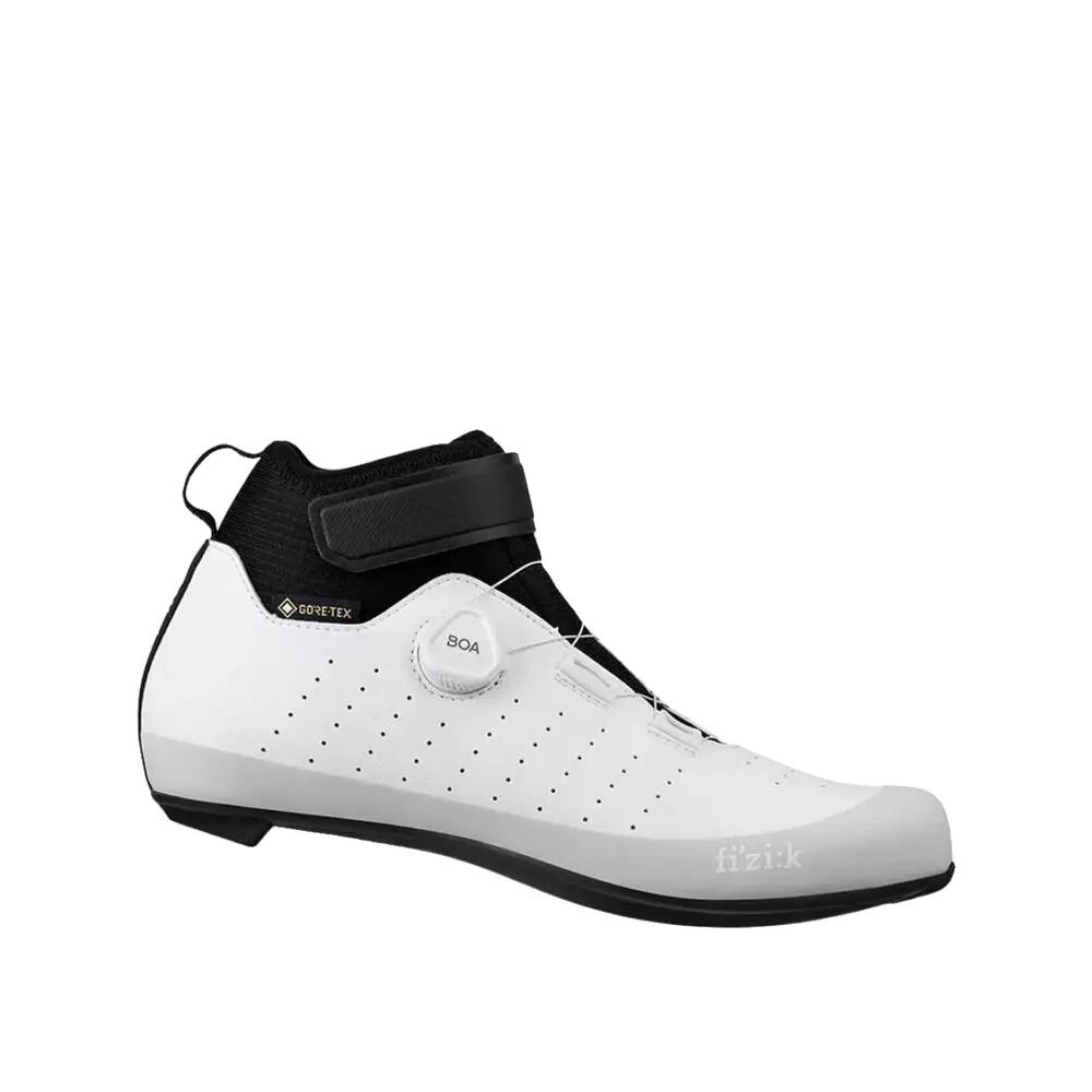 FIZIK picture