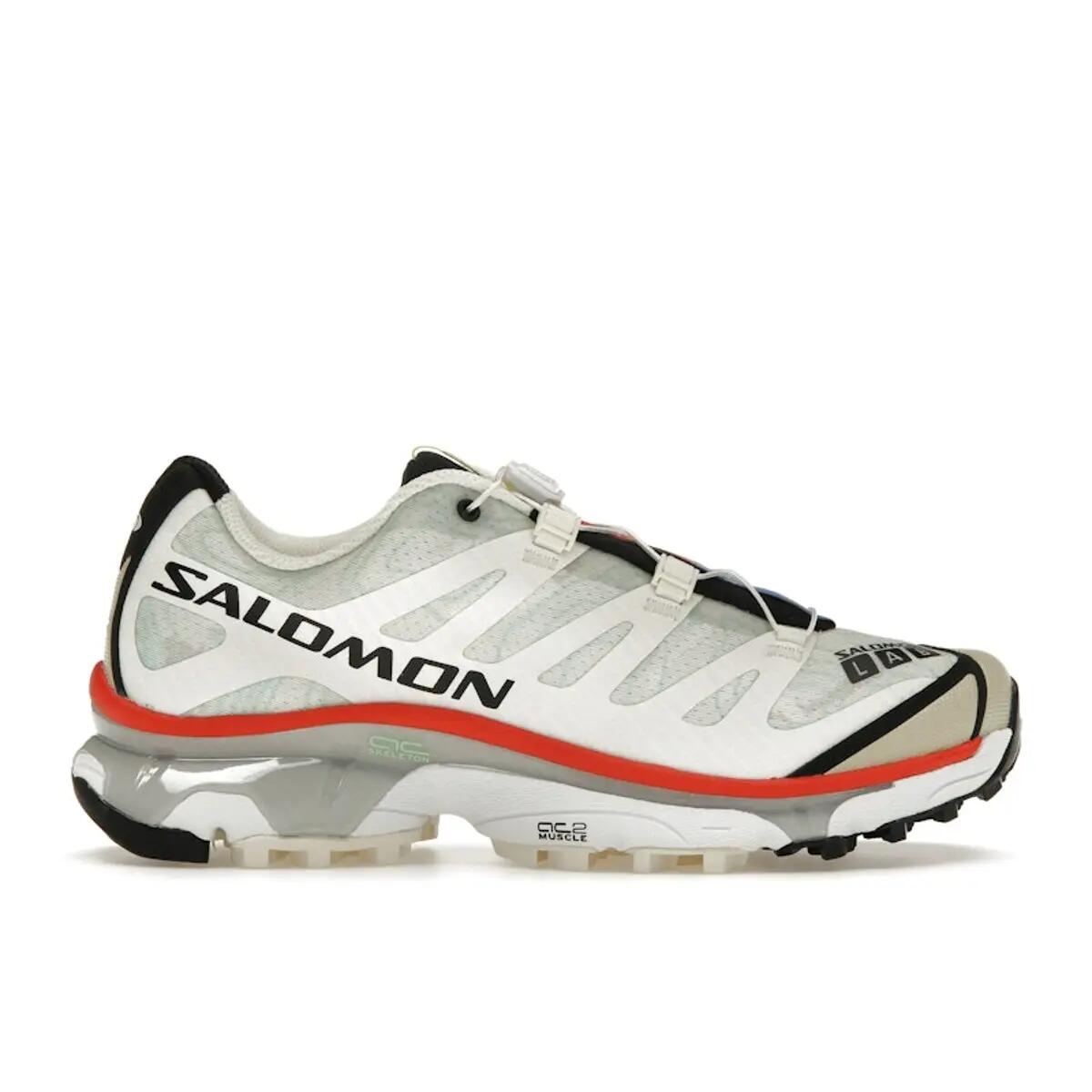 SALOMON picture
