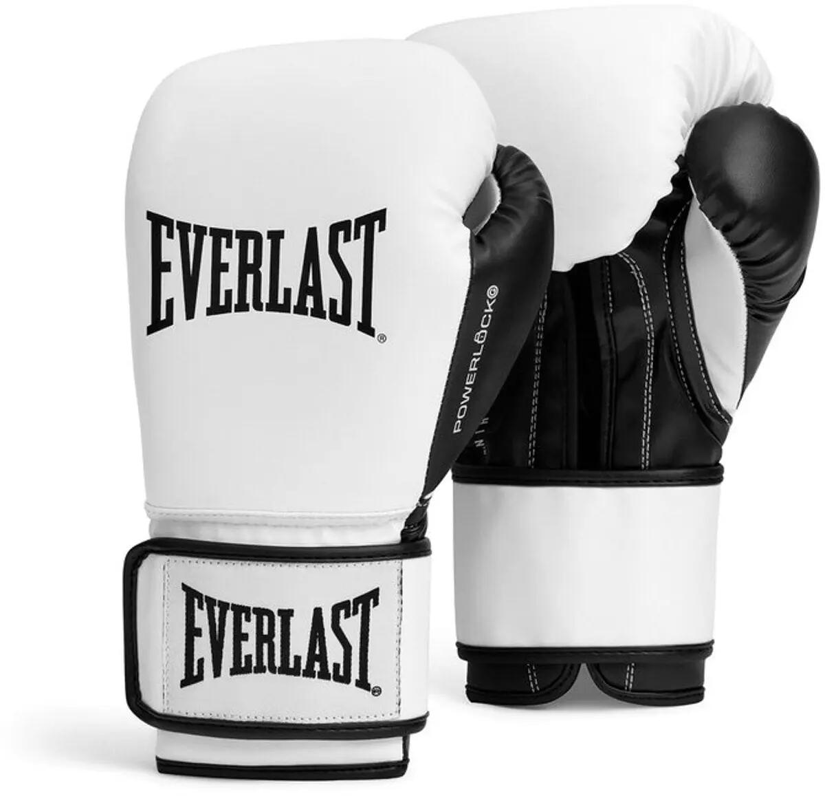 EVERLAST picture