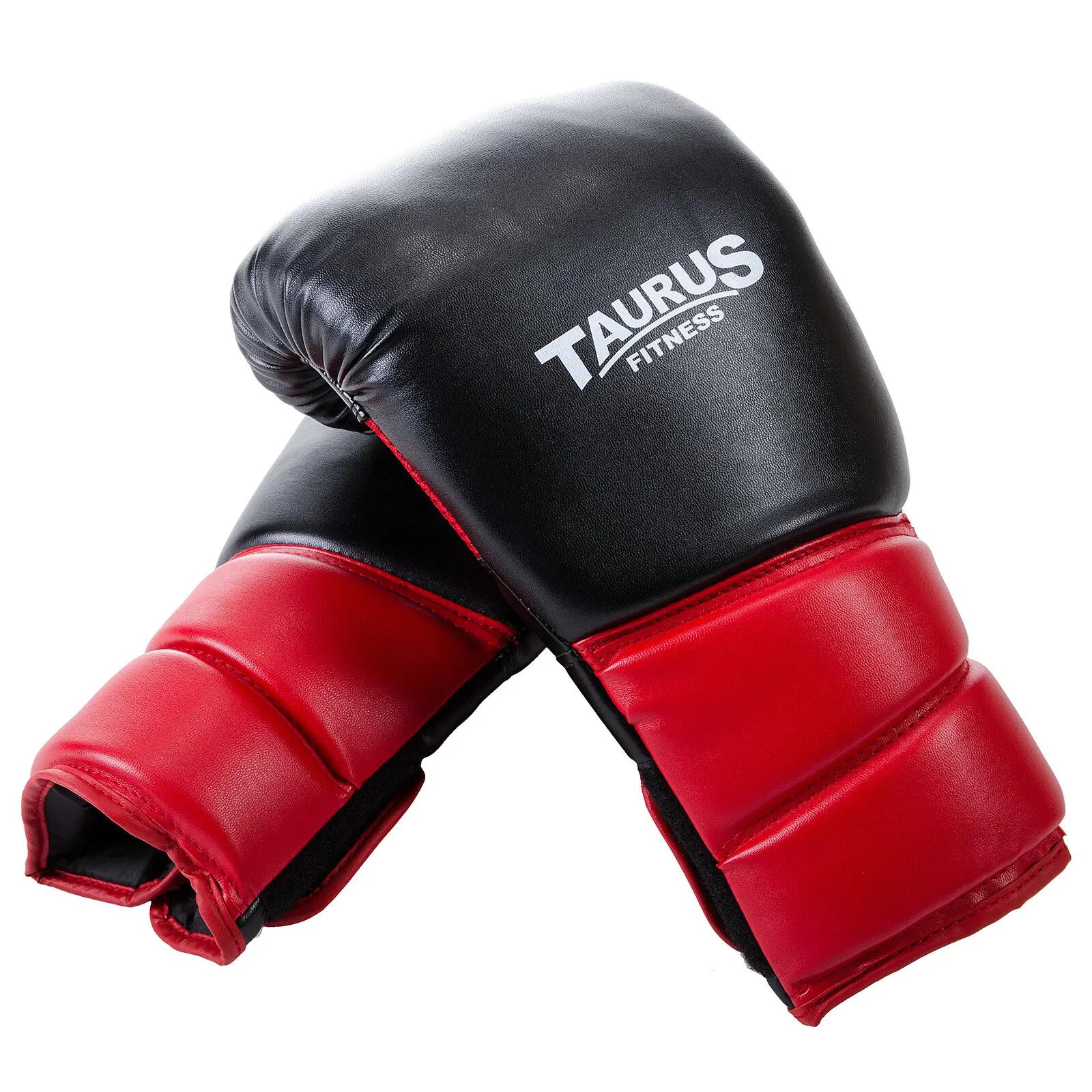 TAURUS picture