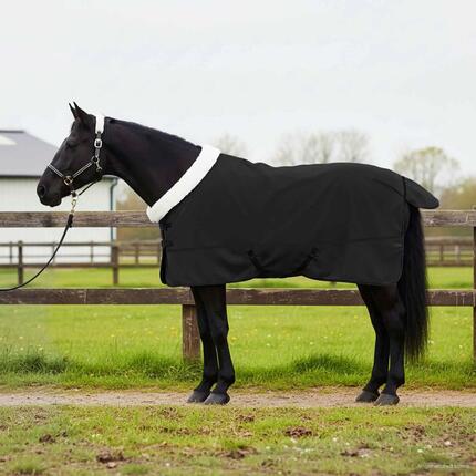 Couverture cheval polaire noire avec couvre-vent VidaXL
