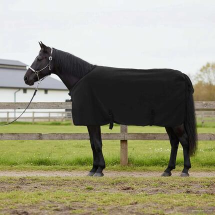 Couverture polaire pour cheval vidaXL anti-vent noir