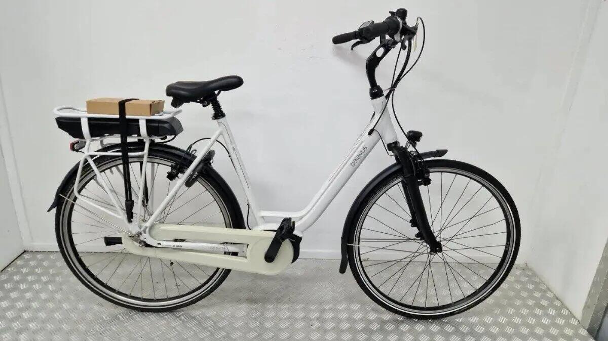 BATAVUS picture