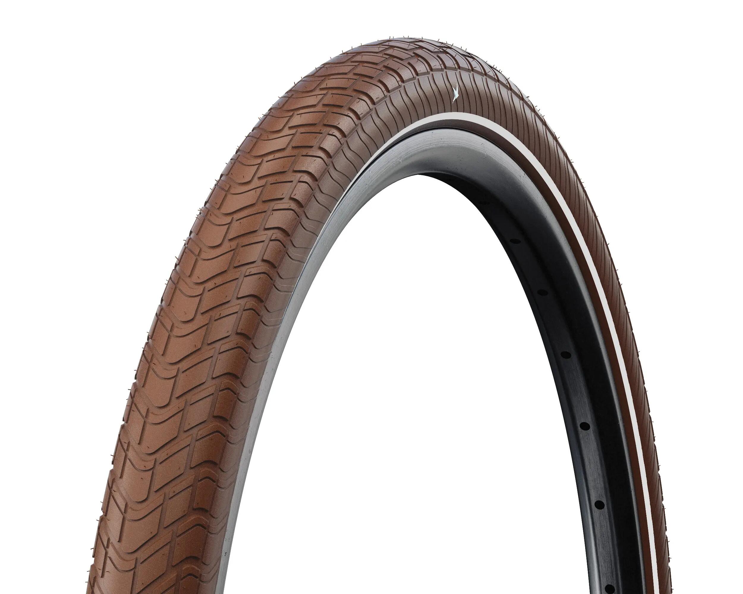 SCHWALBE picture