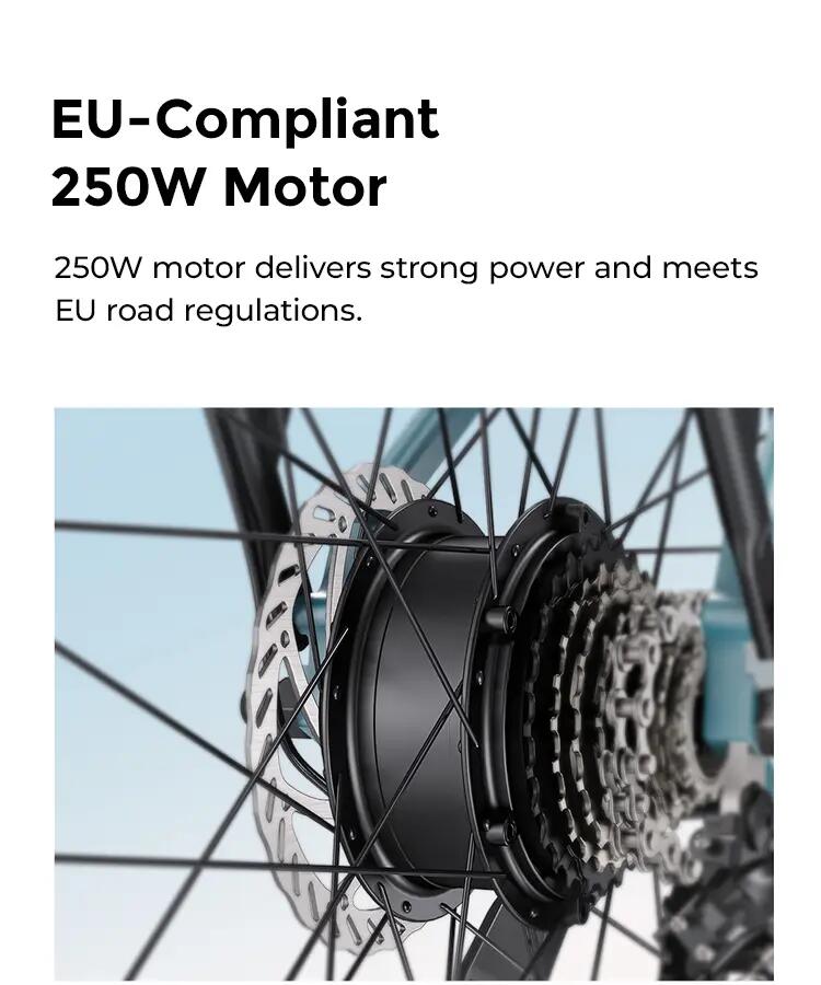 E-bike da città ENGWE P275 SE da 27,5" 250W 36V 13Ah 4/6