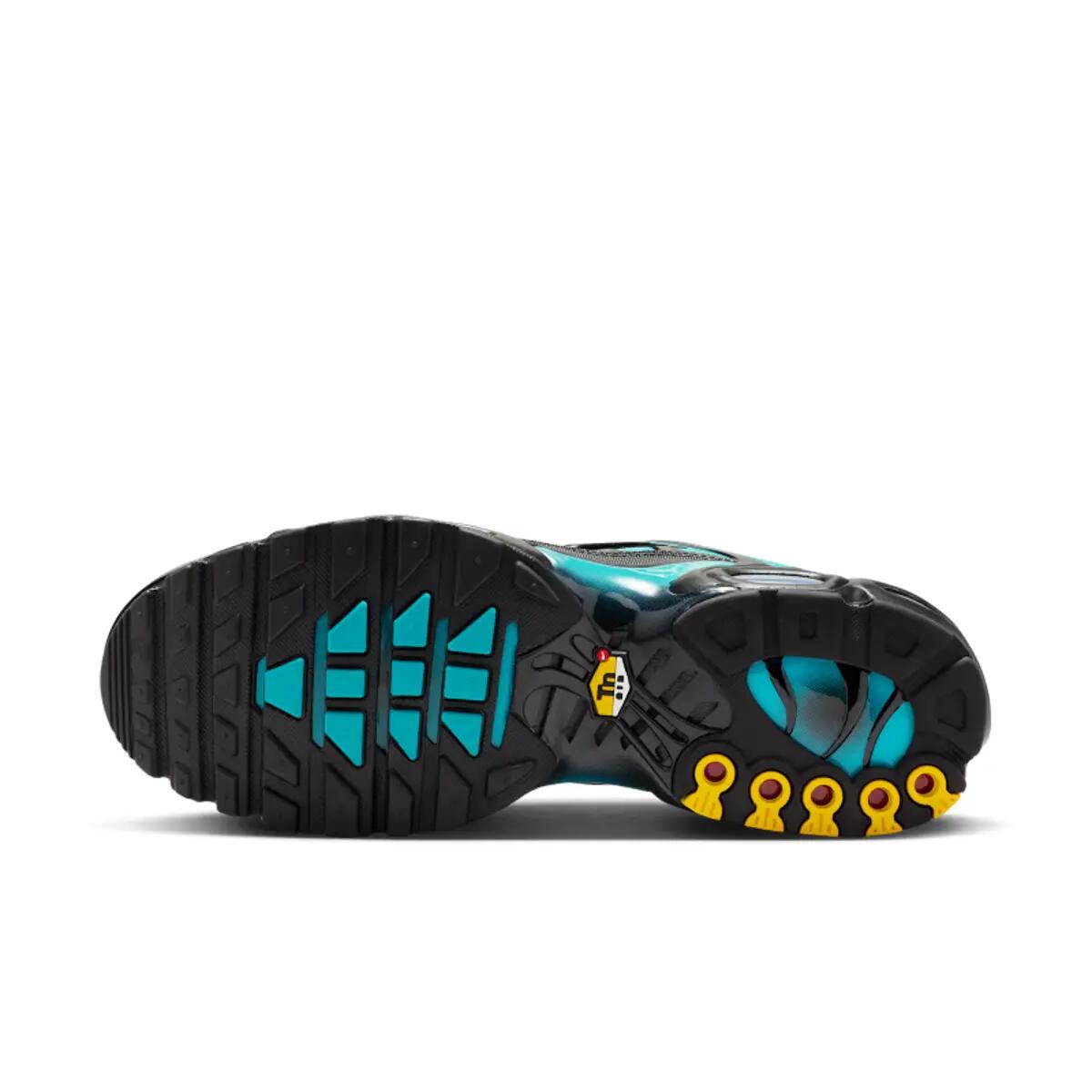 Nike Air Max Plus Black Dusty Cactus 2/6